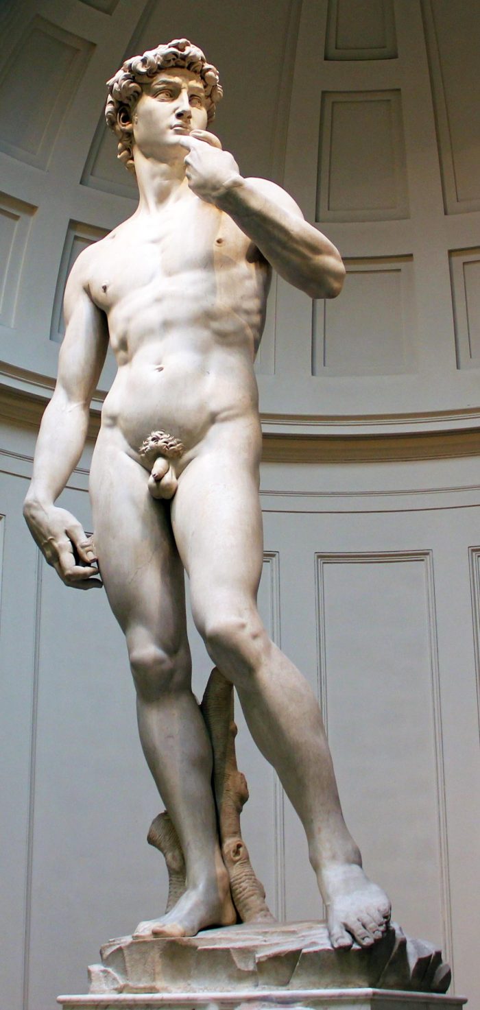 The David By Michelangelo In Florence Italy
