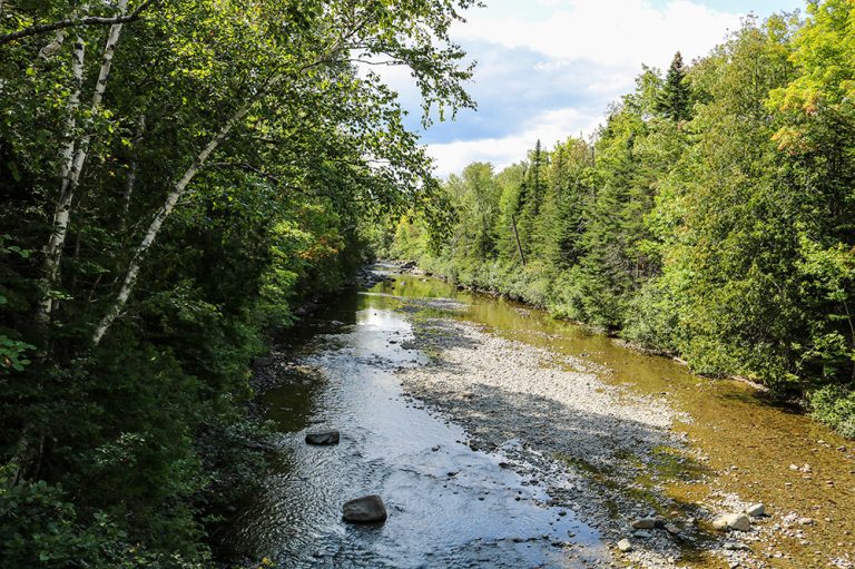 A Late Summer Walk on the Scenic Narrow Gauge Pathway in Carrabassett