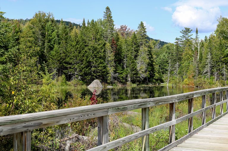 A Late Summer Walk on the Scenic Narrow Gauge Pathway in Carrabassett