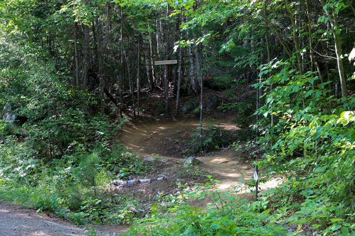 The Crocker Town Mountain Bike Trail On The Narrow Gauge Pathway