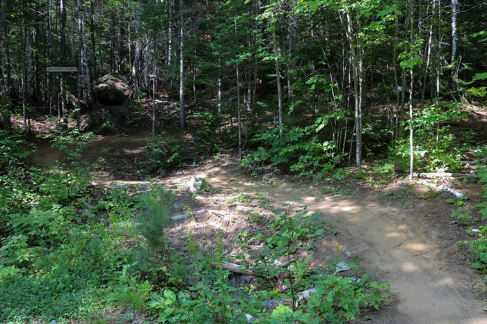 A Mountain Bike Trail On The Narrow Gauge Trail