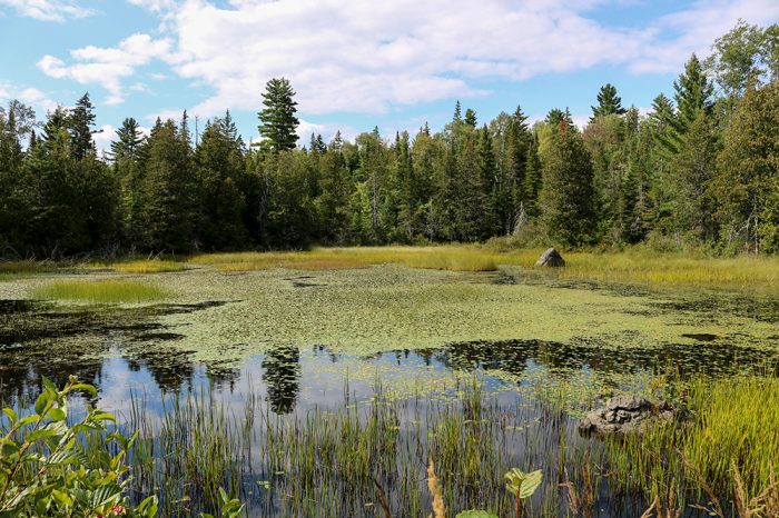 A Pond On The Narrow Gauge Trail In Carrabassett Valley In Western Maine Near Sugarloaf Mountain