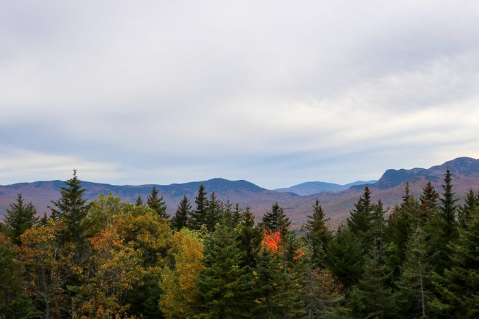 A View Of The Canopy And Mountain Range At Mount Blue State Park