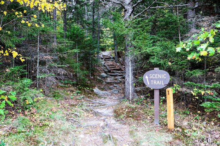 Center Hill Trail Entrance At Mount Blue State Park In Weld Maine