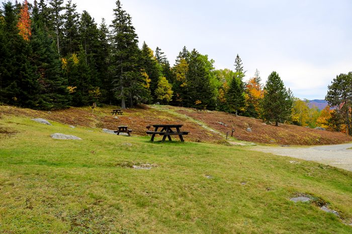 Center Hill Trail Picnic Area At Mount Blue State Park