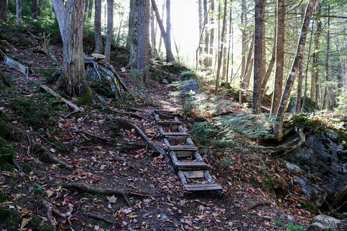 Wooden Steps On The Reed Brook Trail