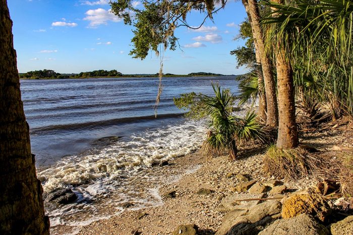 The Shoreline Of The Matanzas River At The Washington Oaks Gardens State Park In Florida