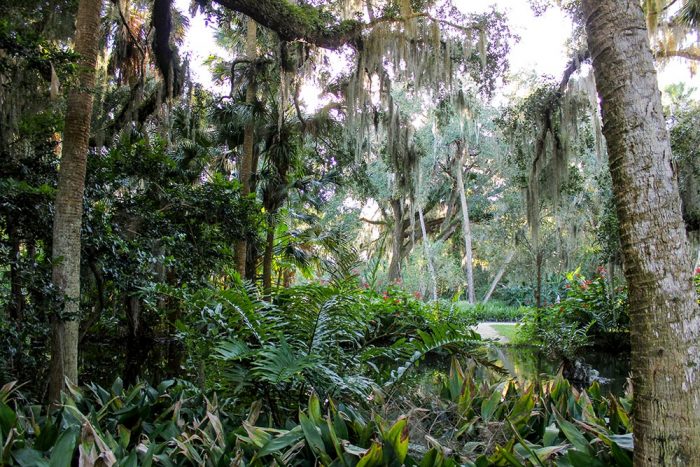 Another View Of A Pond At Washington Oaks Gardens State Park In Florida