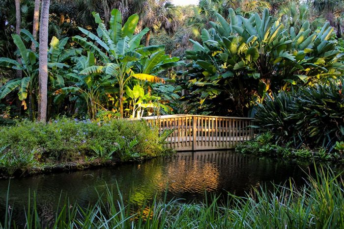 A Wooden Bridge In The Washington Oaks Gardens State Park In Florida