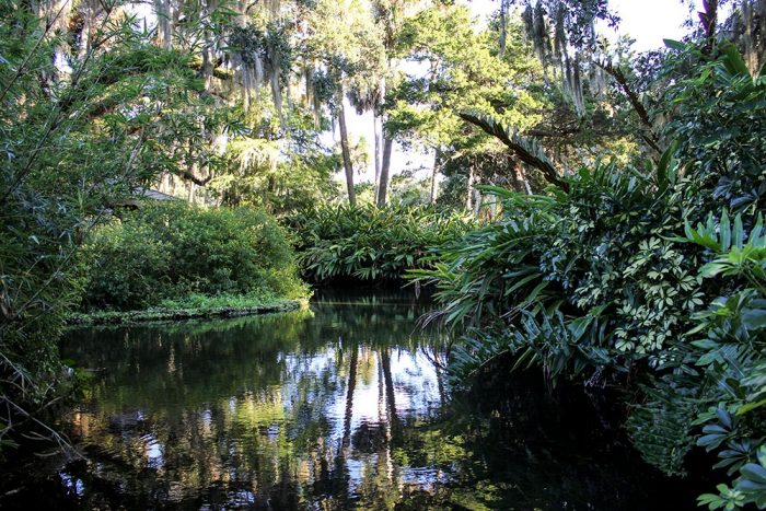 Washington Oaks Pond In Florida