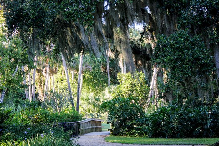 A Walking Path Through The Washington Oaks Gardens Park In Florida