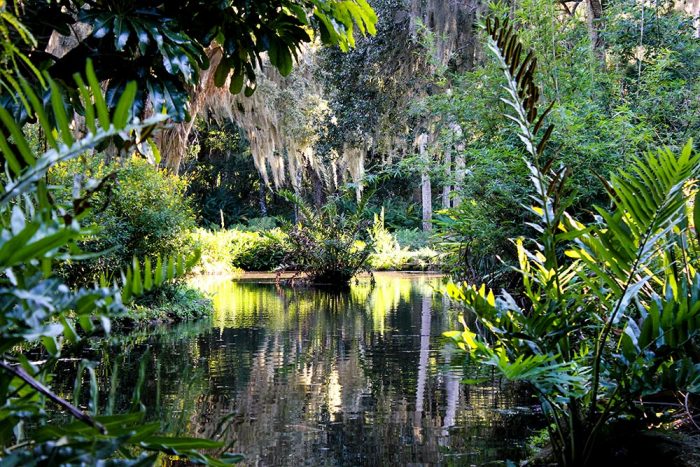 Island In Pond In Washington Oaks Gardens State Park In Florida