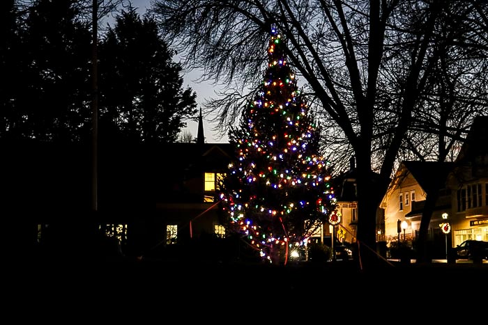  The Christmas Tree In The Village Green