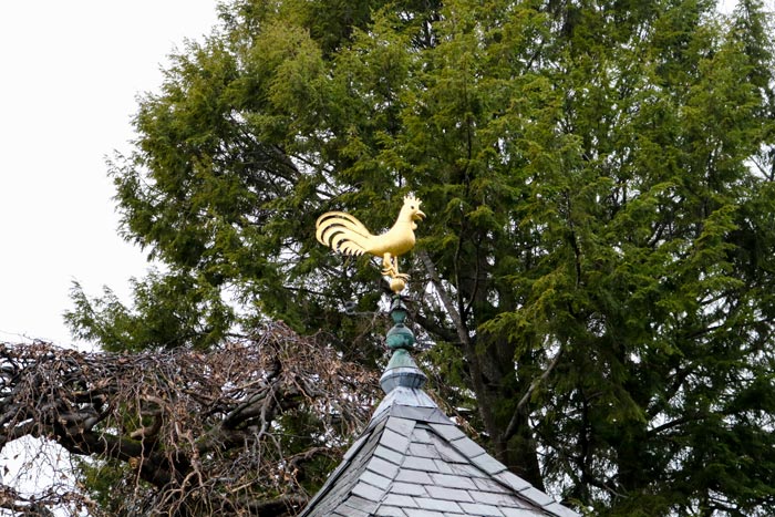 A Gold Rooster Weathervane At The Camden Public Library In Camden Maine On Main Street