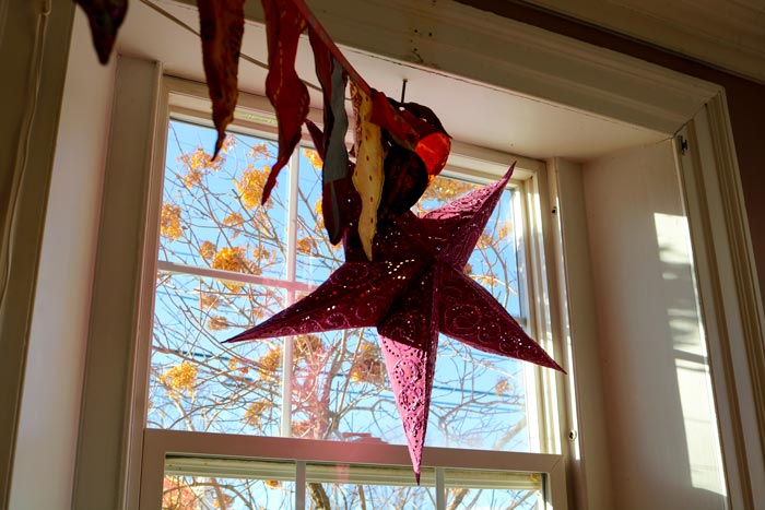 Star Decoration Hanging In The Window