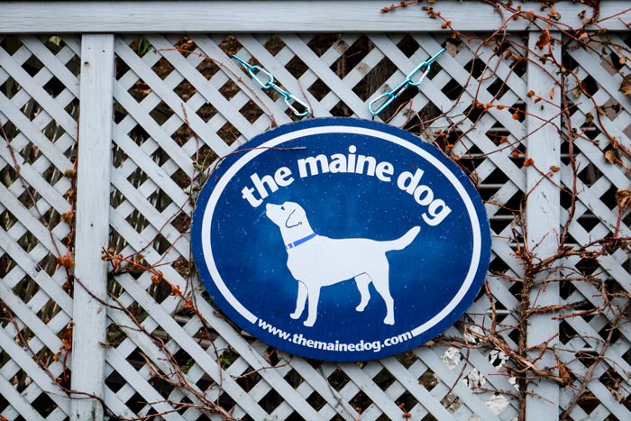 The Maine Dog Sign On A Lattice Fence