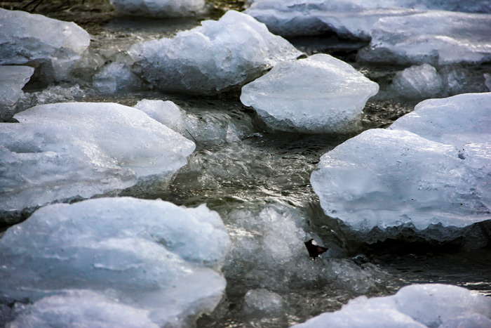 A Close Up Of Broken Ice Chunks