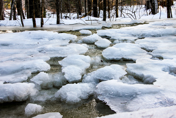 Broken Ice In An Overflowing Stream