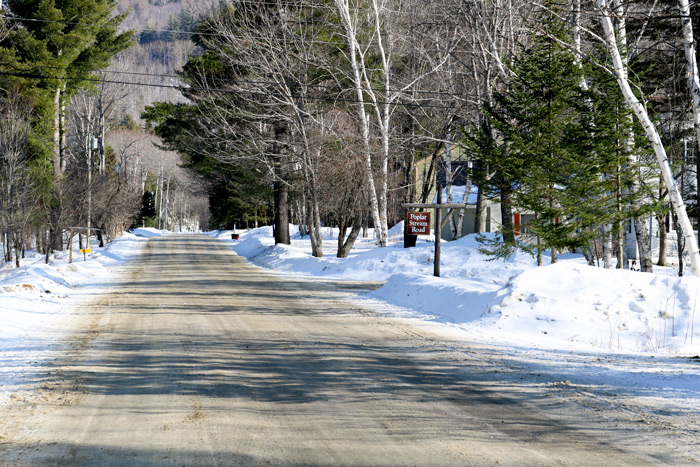 Carriage Road In Maine