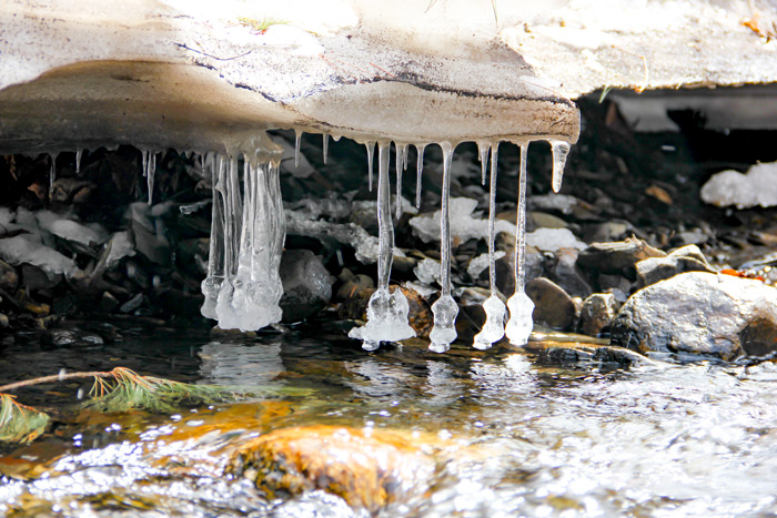 Shoreline Icicles Hanging Over Running Water