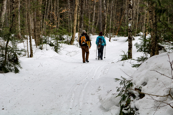 Hikers On Snow Trail In Maine