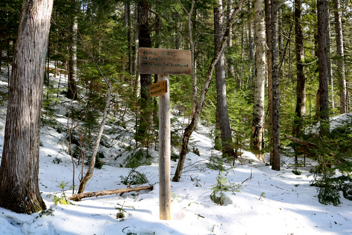 Hiking To Poplar Hut In Maine