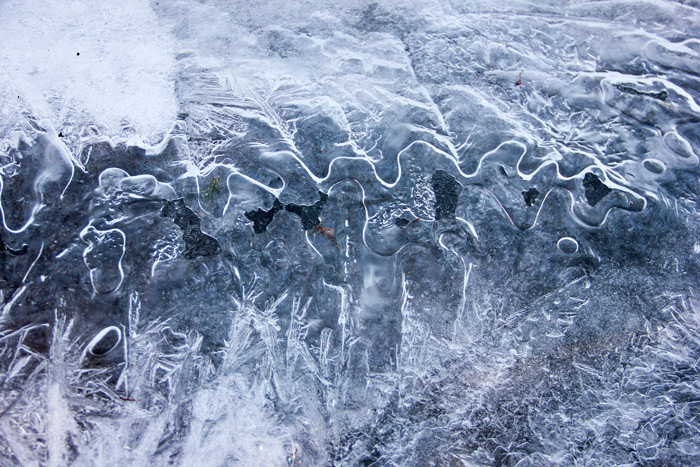 Ice Formation On A Rock