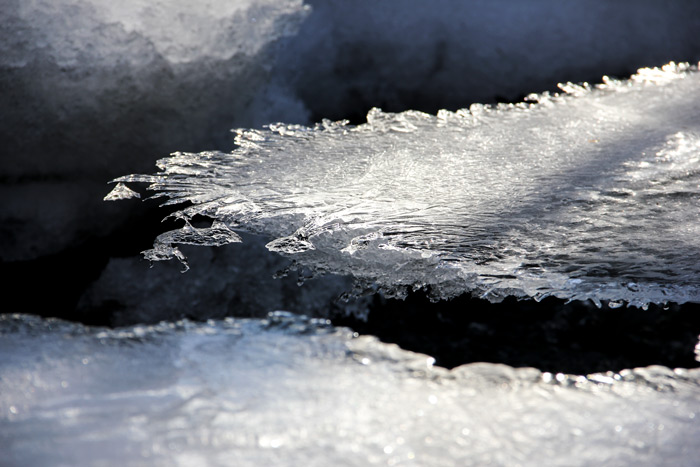 The Edge Of A Sheet Of Ice