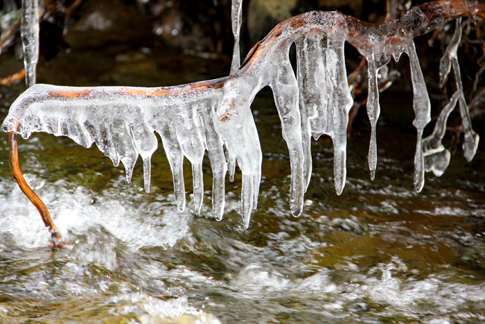 Icicles Hanging From A Branch