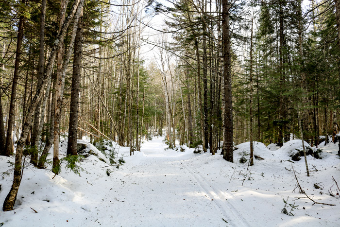 A Snow Trail In Maine