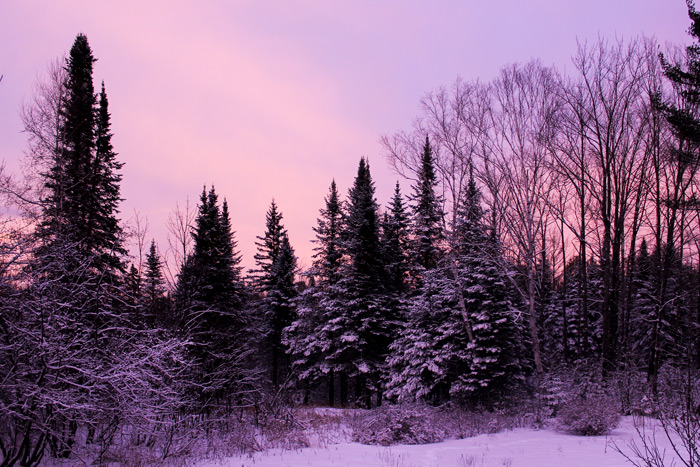 Purple Sky In Maine