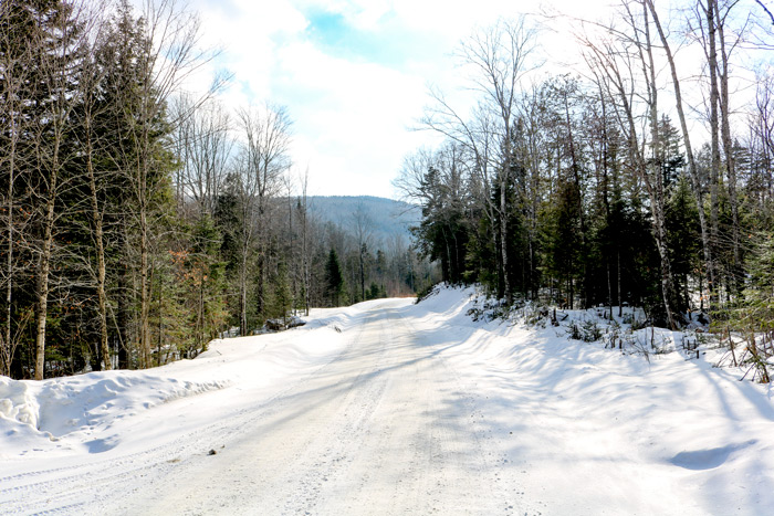 Snow Covered Carriage Road In Maine