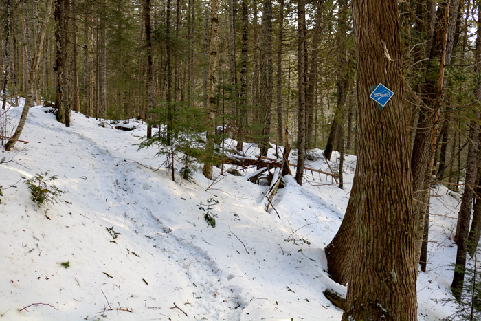 A Snow Covered Warrens Trail
