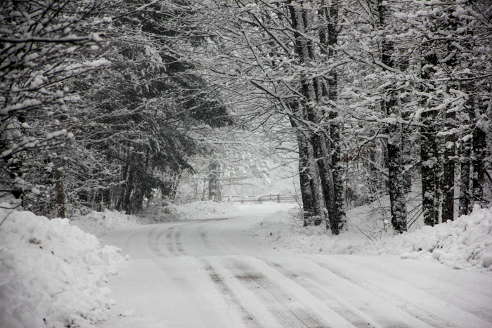 Snow Covered Country Road In Maine