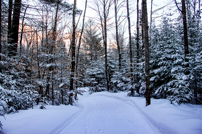 A Snow Mobile Trail In Western Maine
