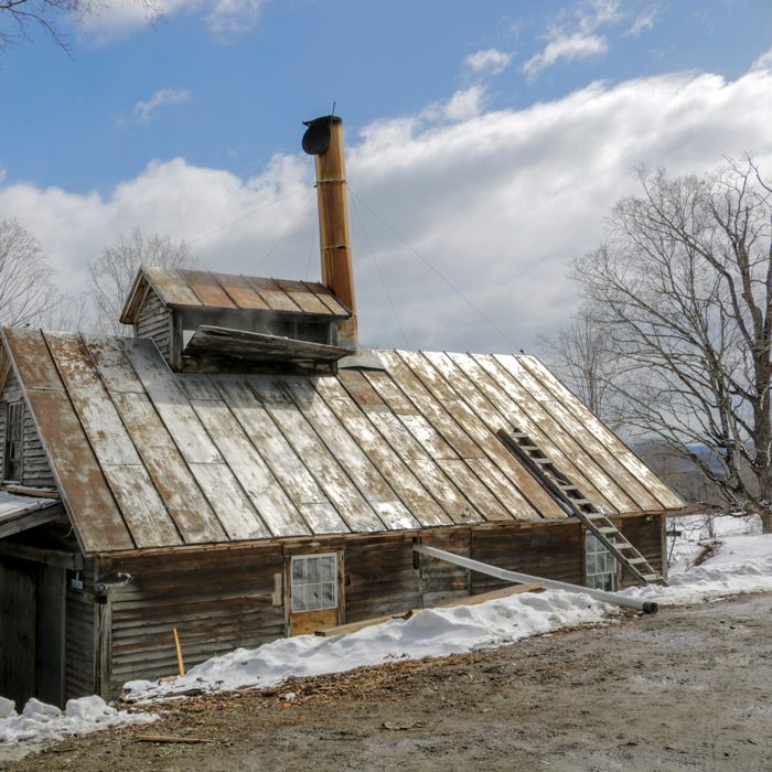 Visiting Maple Hill Farm in Farmington, Maine on Maine Maple Sunday