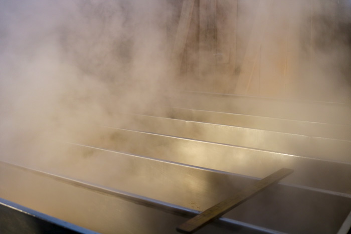 Steam Coming From Maple Sap Evaporator