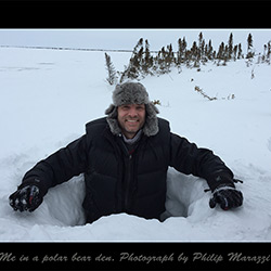 Greg Harvey In A Polar Bear Den
