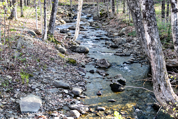 A Maine Stream During The Spring
