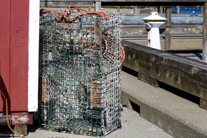 Lobster Cage