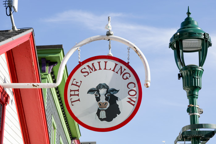 The Smiling Cow Sign