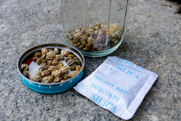 Silica Packet And Seeds