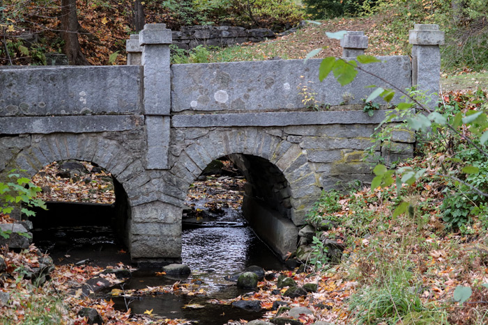Stone Bridge In Park