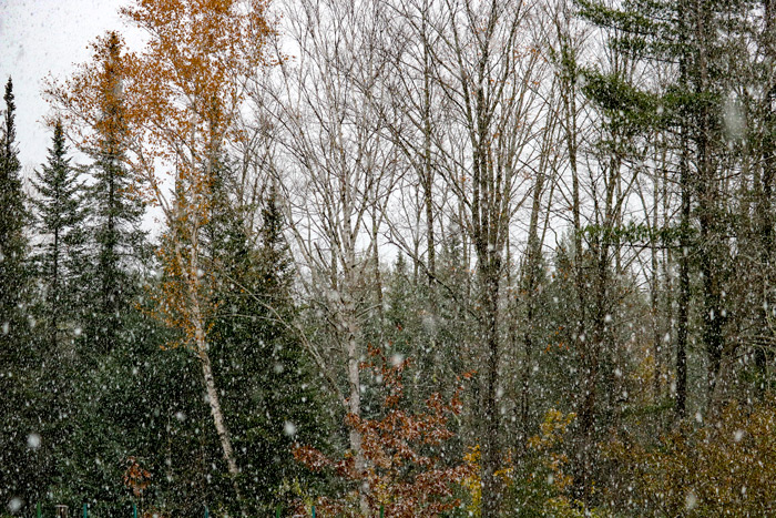 October Snow Storm In Maine