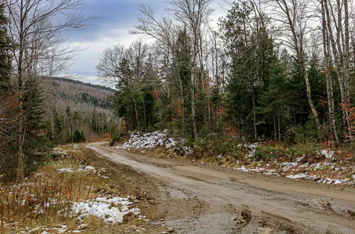 Carriage Road In Carrabassett Valley Maine