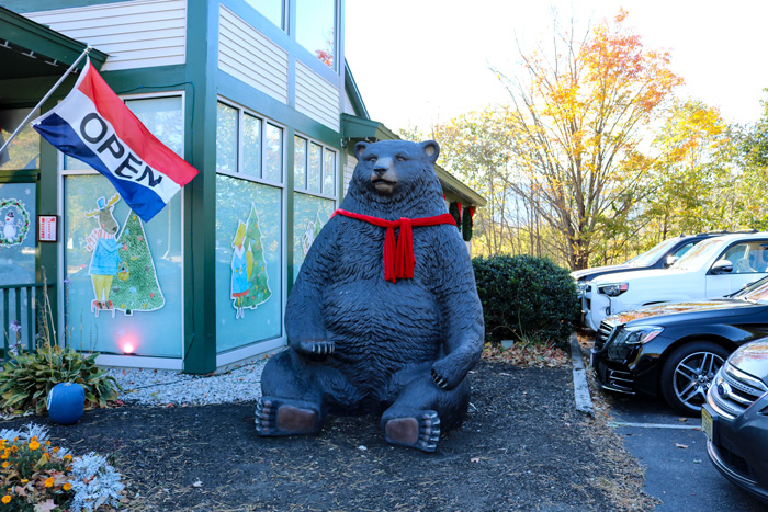 The Bear In Front Of The Store