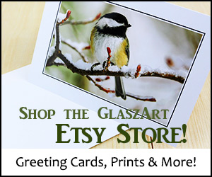 Shop the GlaszArt Etsy Store!