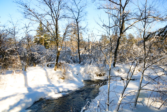 Snowy Brook