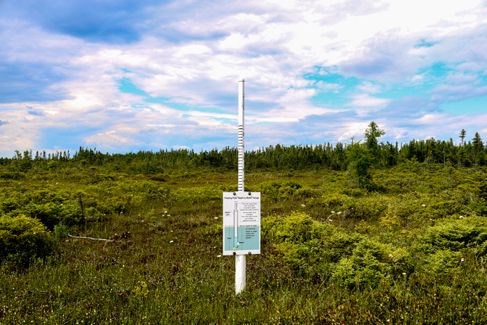 Bog Water Level Measurement Scale