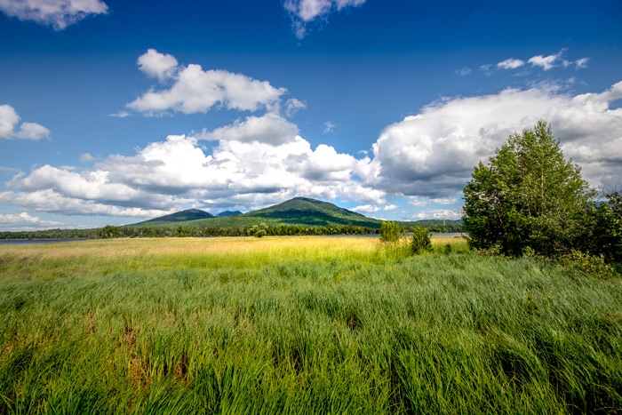 A View Of Tall Grass In Front Of Flagstaff Lake